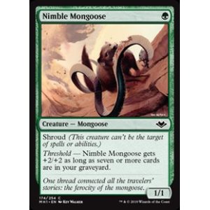 画像: 【英語】敏捷なマングース/Nimble Mongoose
