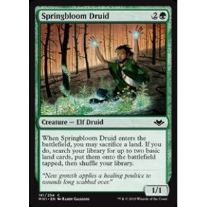 画像: 【英語】春花のドルイド/Springbloom Druid