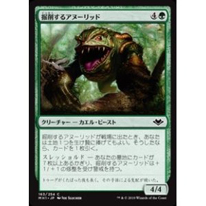 画像: 【日本語】掘削するアヌーリッド/Excavating Anurid
