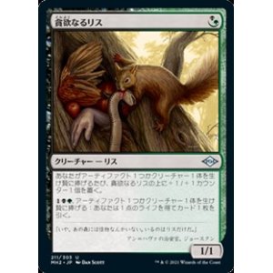 画像: 【日本語】貪欲なるリス/Ravenous Squirrel