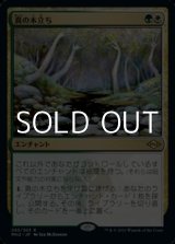 画像: 【日本語】真の木立ち/Sterling Grove