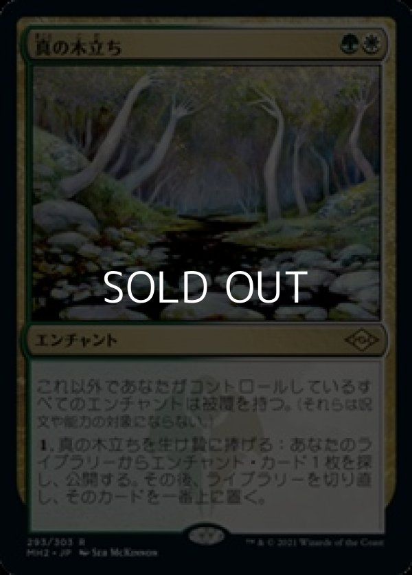 画像1: 【日本語】真の木立ち/Sterling Grove (1)