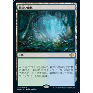 画像: 【日本語】霧深い雨林/Misty Rainforest