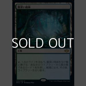 画像: 【日本語】霧深い雨林/Misty Rainforest