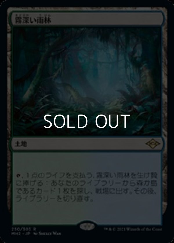 画像1: 【日本語】霧深い雨林/Misty Rainforest (1)