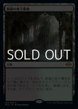 画像: 【日本語】新緑の地下墓地/Verdant Catacombs