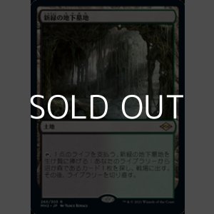 画像: 【日本語】新緑の地下墓地/Verdant Catacombs