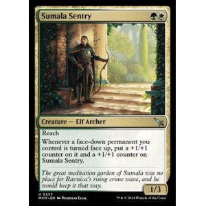 画像: 【英語】スマーラの歩哨/Sumala Sentry