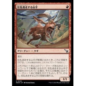 画像: 【日本語】狂乱逃走する山羊/Frantic Scapegoat