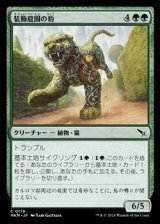 画像: 【日本語】装飾庭園の豹/Topiary Panther