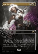 画像: ☆特殊枠【日本語】込み入った盗用/Abstruse Appropriation