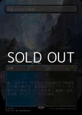 画像: ☆特殊枠【日本語】汚染された三角州/Polluted Delta