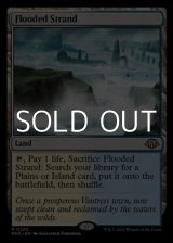 画像: 【英語】溢れかえる岸辺/Flooded Strand