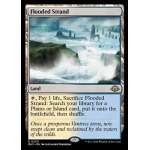 画像: 【英語】溢れかえる岸辺/Flooded Strand