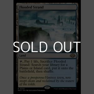 画像: 【英語】溢れかえる岸辺/Flooded Strand