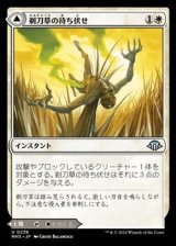 画像: 【日本語】剃刀草の待ち伏せ/Razorgrass Ambush