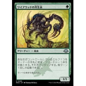 画像: 【日本語】ワイアウッドの共生虫/Wirewood Symbiote