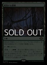 画像: 【日本語】変容する森林/Shifting Woodland