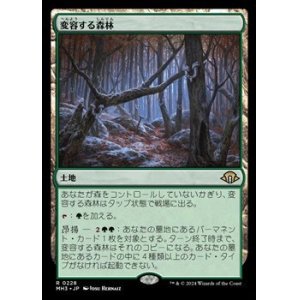 画像: 【日本語】変容する森林/Shifting Woodland