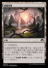 画像: 【日本語】屈曲地帯/Twisted Landscape