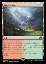 画像: 【日本語】樹木茂る山麓/Wooded Foothills