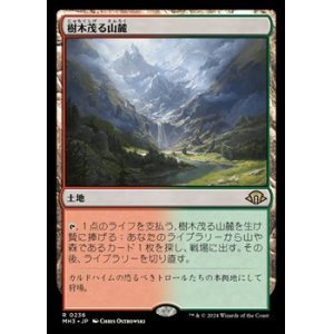 画像: 【日本語】樹木茂る山麓/Wooded Foothills