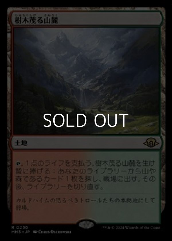 画像1: 【日本語】樹木茂る山麓/Wooded Foothills (1)