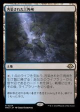 画像: 【日本語】汚染された三角州/Polluted Delta