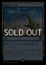 画像: 【日本語】革新のアーチ道/Archway of Innovation