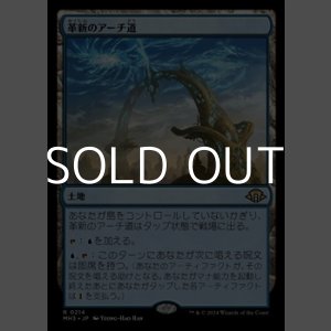 画像: 【日本語】革新のアーチ道/Archway of Innovation