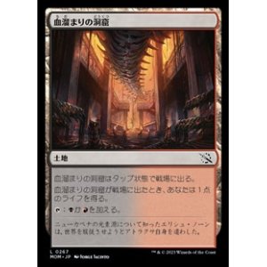 画像: 【日本語】血溜まりの洞窟/Bloodfell Caves