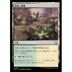 画像: 【日本語】花咲く砂地/Blossoming Sands