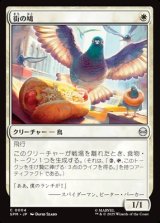 画像: 【日本語】街の鳩/City Pigeon