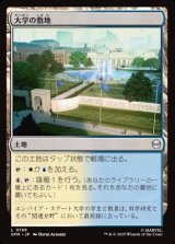 画像: 【日本語】大学の敷地/University Campus