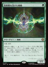 画像: 【日本語】放射線を浴びた蜘蛛/Radioactive Spider