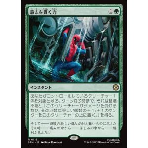 画像: 【日本語Foil】意志を貫く力/Strength of Will