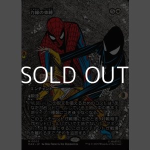 画像: ☆特殊枠【日本語Foil】力線の束縛/Leyline Binding