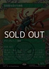 画像: ☆特殊枠【日本語Foil】放射線を浴びた蜘蛛/Radioactive Spider