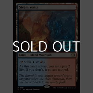 画像: 【英語Foil】蒸気孔/Steam Vents