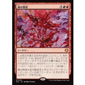 画像: 【日本語Foil】魂の焼身/Soul Immolation