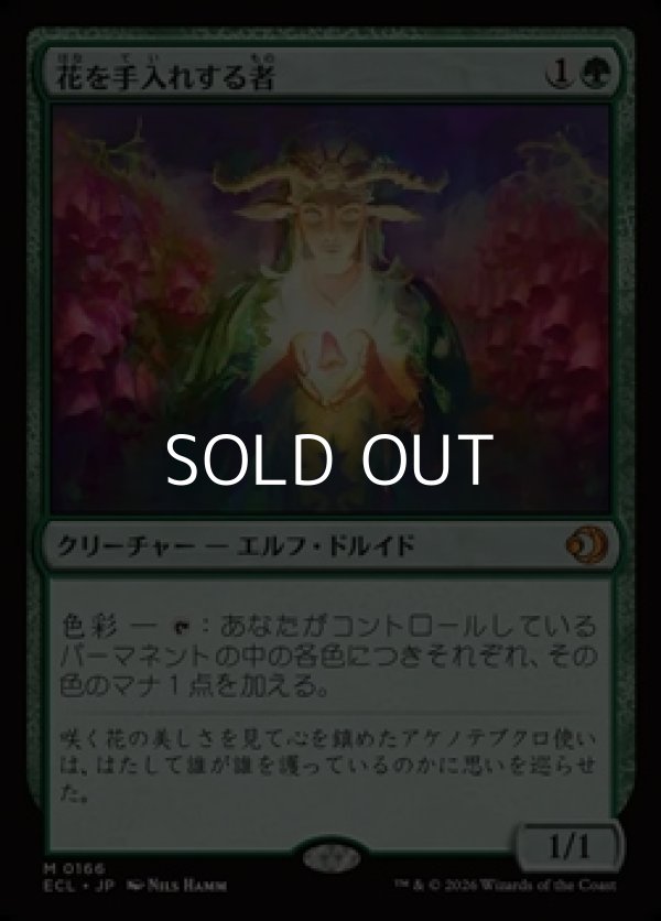 画像1: 【日本語Foil】花を手入れする者/Bloom Tender (1)