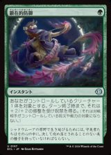 画像: 【日本語Foil】顕在的防御/Blossoming Defense
