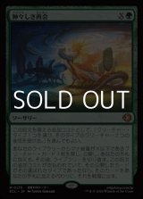 画像: 【日本語Foil】神々しき再会/Celestial Reunion