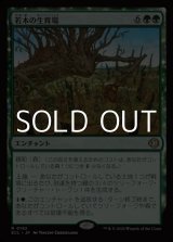 画像: 【日本語Foil】若木の生育場/Sapling Nursery