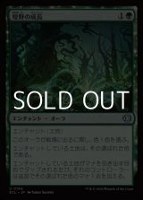 画像: 【日本語Foil】煌野の成長/Shimmerwilds Growth