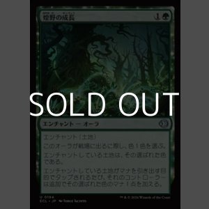 画像: 【日本語Foil】煌野の成長/Shimmerwilds Growth