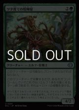 画像: 【日本語Foil】ツタ育ての喧嘩屋/Vinebred Brawler