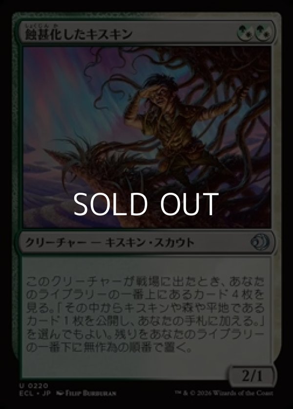 画像1: 【日本語】蝕甚化したキスキン/Eclipsed Kithkin (1)