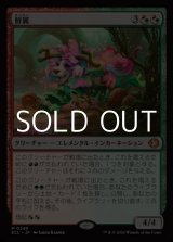 画像: 【日本語】鮮麗/Vibrance