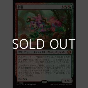 画像: 【日本語】鮮麗/Vibrance